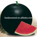 MW02 Hei round black rind hybrid watermelon seeds in melon seeds